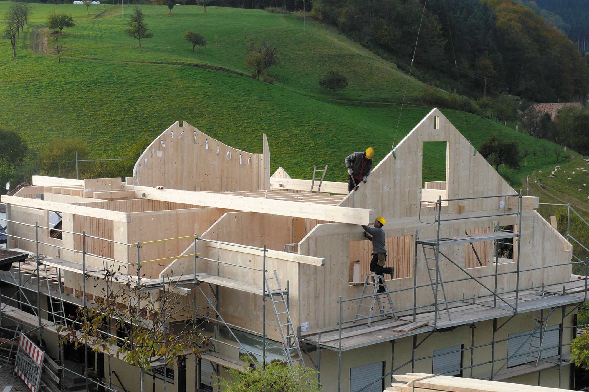 Wildhaus aus Massivholz